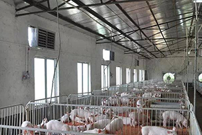 养殖场工程案例 养殖场工程案例