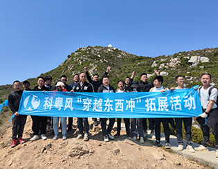 团队展示
